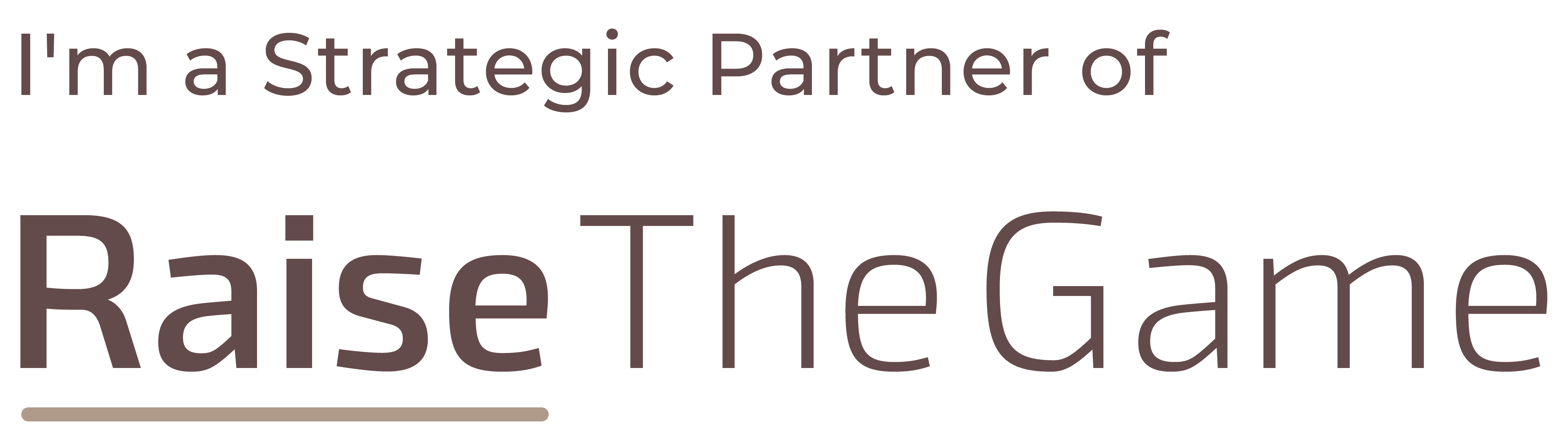 Partner logo